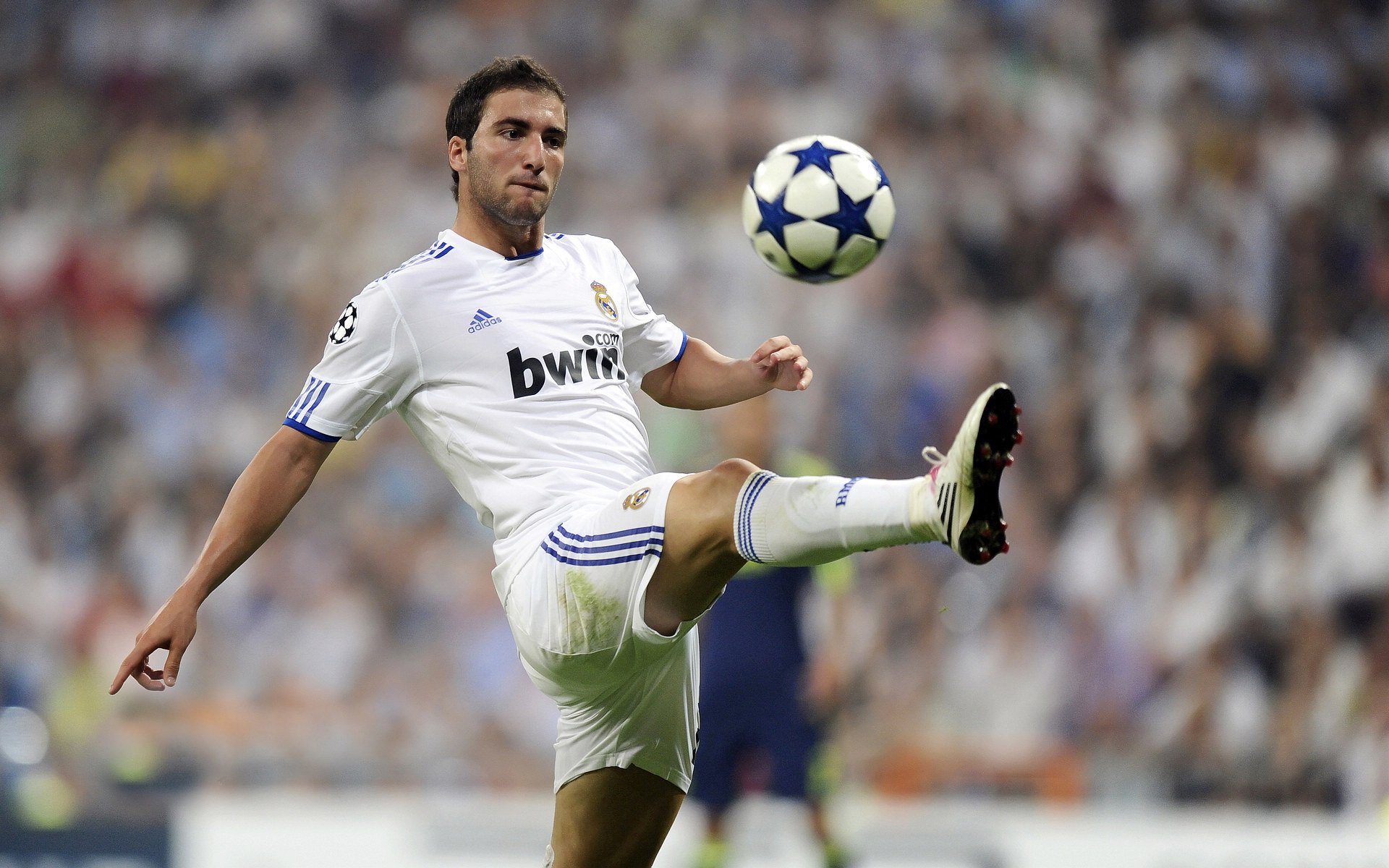 维也纳的雨夜，波尔一剑封喉，奥地利如何用唯一性击碎瑞典战车